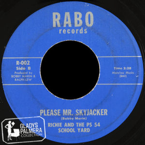 8. Richie And The PS 54 School Yard - Mr. Skyjacker