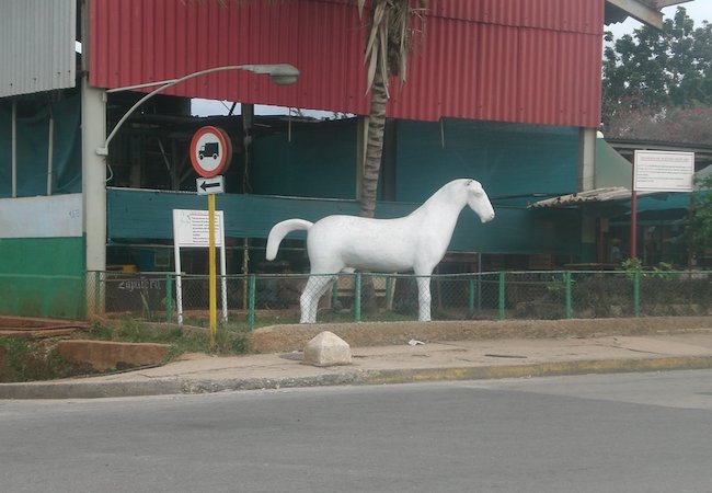 OK_CABALLO BLANCO